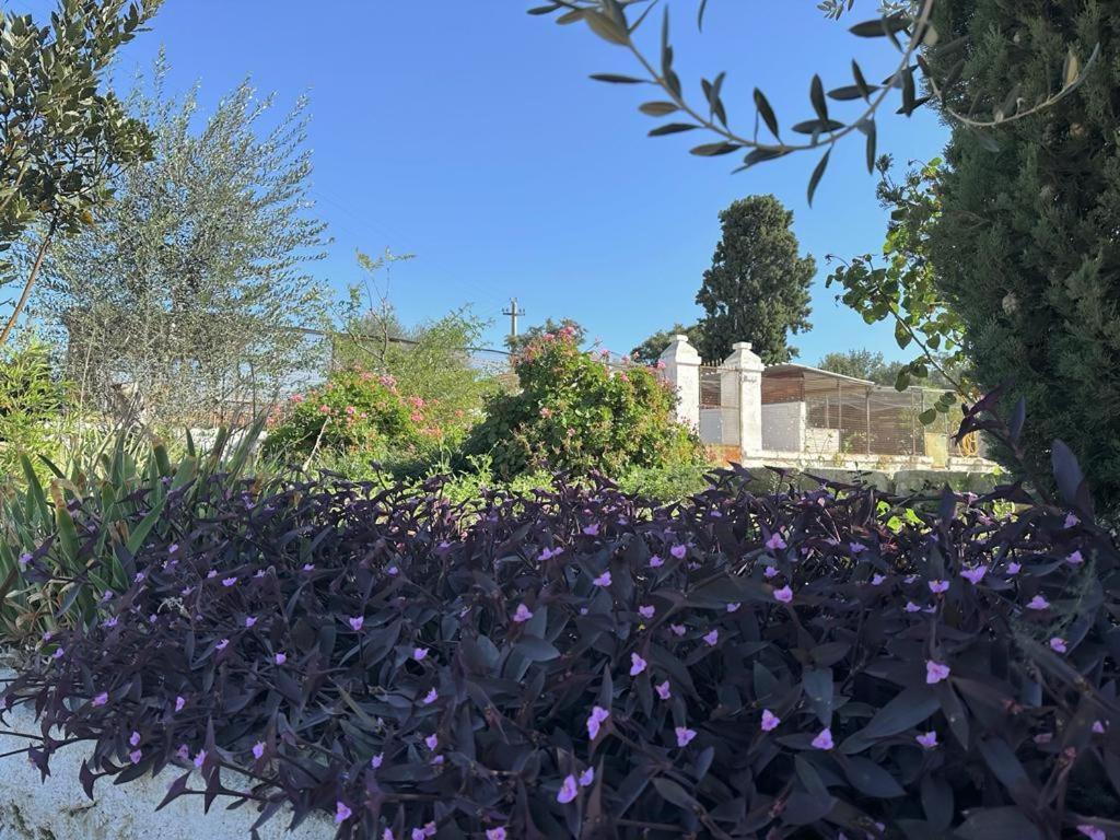 Masseria Strada Agriturismo Джиноза Экстерьер фото